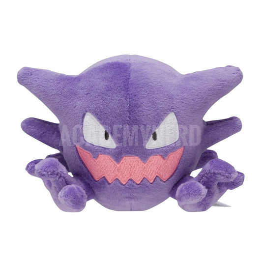 HAUNTER FIT POKEMON CENTER PELUCHE