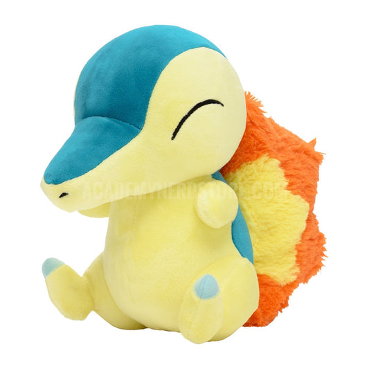 CYNDAQUILL POKEMON POKEMON CENTER