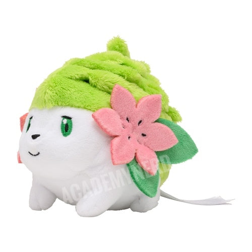 SHAYMIN FIT POKEMON CENTER PELUCHE